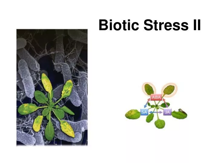 biotic stress ii