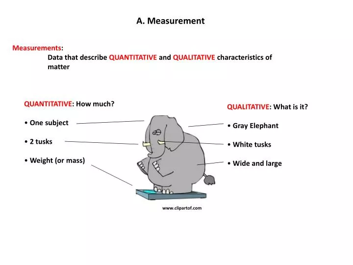 a measurement