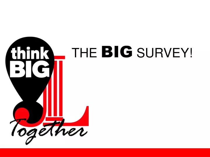 the big survey