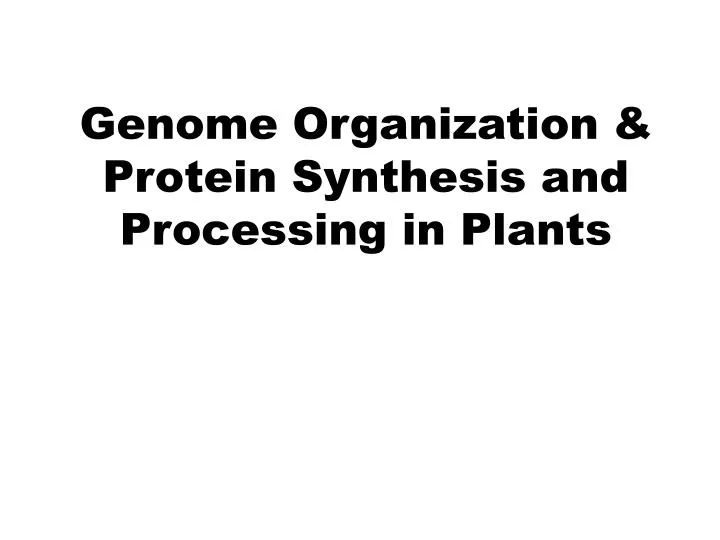 genome organization protein synthesis and processing in plants