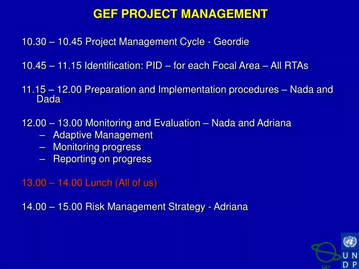 gef project management