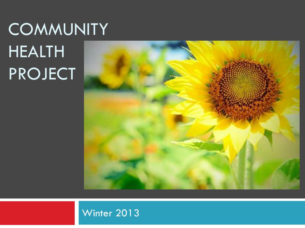 PPT - Community Health Project PowerPoint Presentation, free download ...