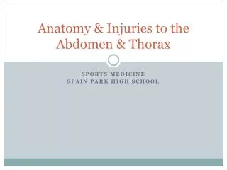 Anatomy &amp; Injuries to the Abdomen &amp; Thorax