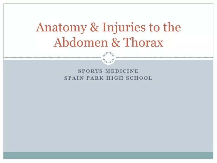 anatomy injuries to the abdomen thorax