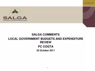 SALGA COMMENTS LOCAL GOVERNMENT BUDGETS AND EXPENDITURE REVIEW PC COGTA 25 October 2011