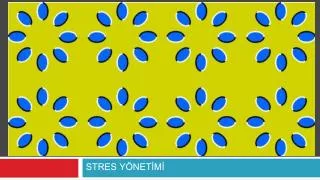 stres y net m