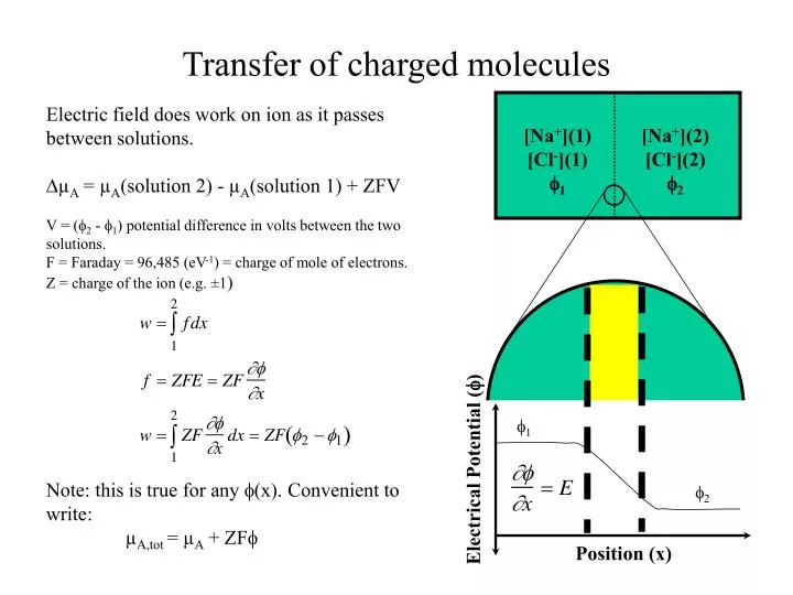 transfer of charged molecules