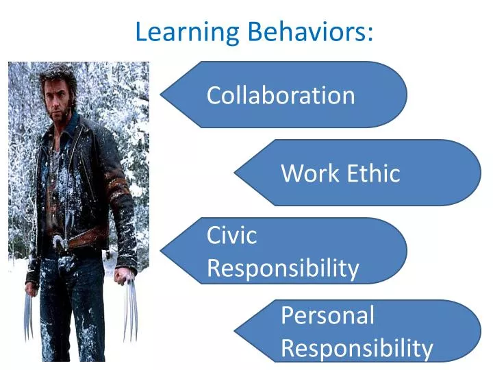 learning behaviors