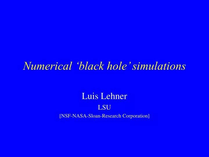 numerical black hole simulations