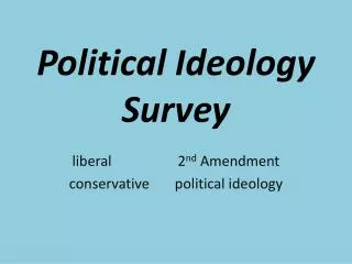 Political Ideology Survey