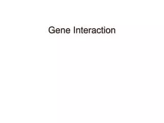 Gene Interaction