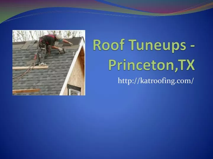 roof tuneups princeton tx