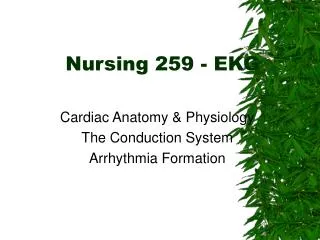 Nursing 259 - EKG