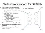 Student work stations for pGLO lab - slide 1