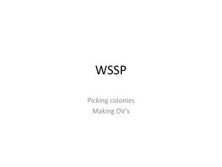 WSSP