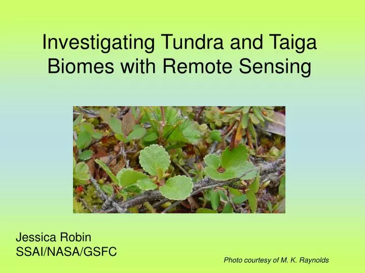 investigating tundra and taiga biomes with remote sensing