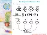 The Molybdenum Cofactor: Moco - slide 1