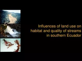 Influences of land use on habitat and quality of streams in southern Ecuador