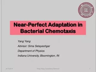 Near-Perfect Adaptation in Bacterial Chemotaxis