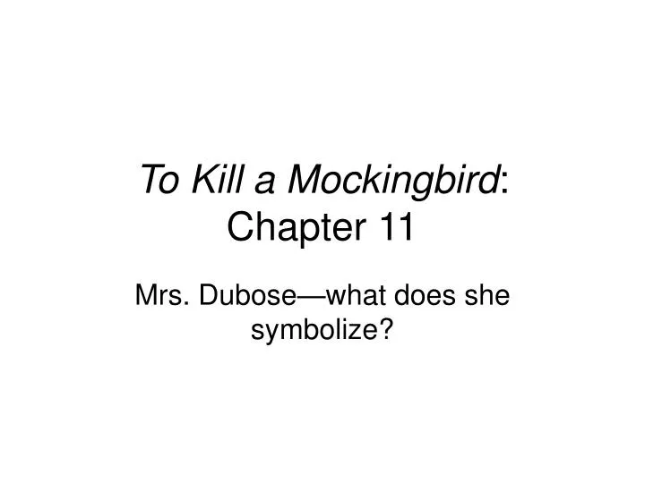 to kill a mockingbird chapter 11