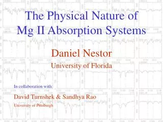 The Physical Nature of Mg II Absorption Systems