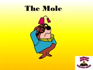 The Mole