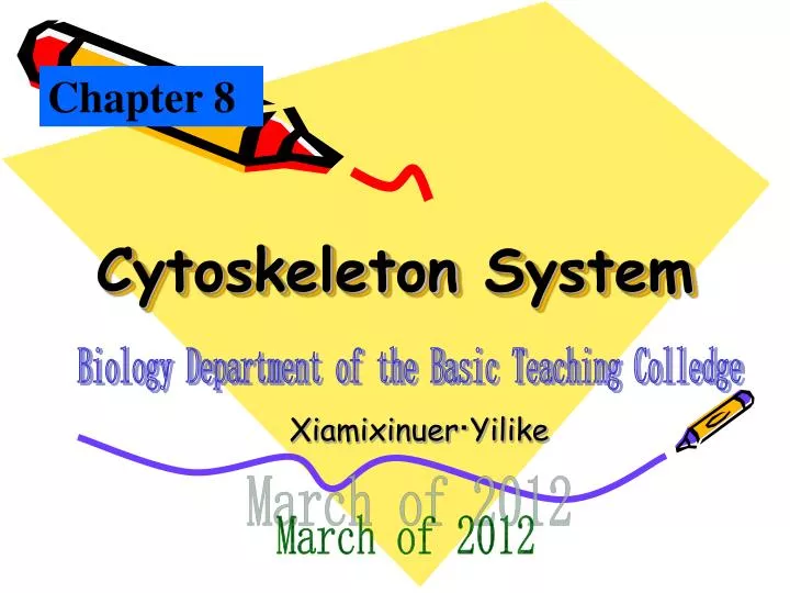 cytoskeleton system