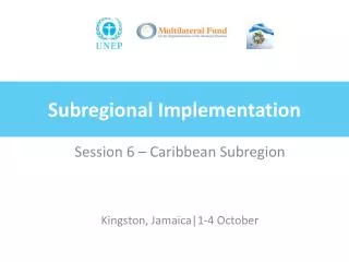 Subregional Implementation