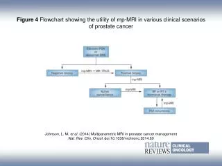Figure 4 Flowchart showing the utility of mp?MRI in various clinical scenarios of prostate cancer