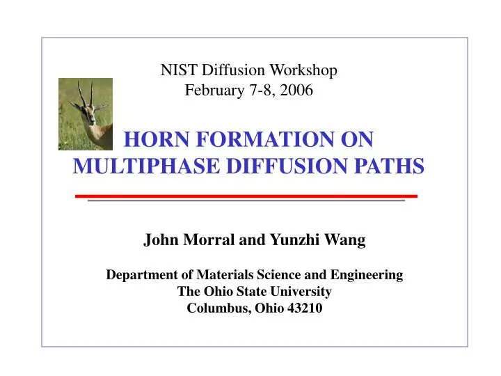 horn formation on multiphase diffusion paths