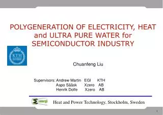 POLYGENERATION OF ELECTRICITY, HEAT and ULTRA PURE WATER for SEMICONDUCTOR INDUSTRY