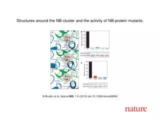 N Muraki et al. Nature 000 , 1-5 (2010) doi:10.1038/nature08950