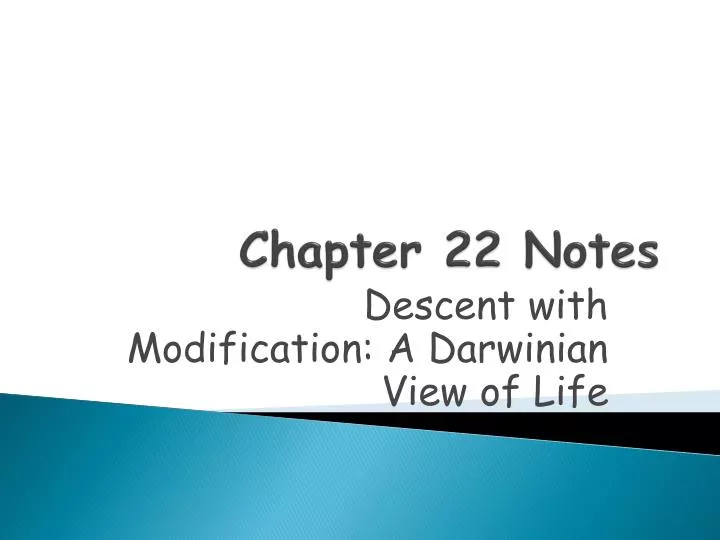 chapter 22 notes