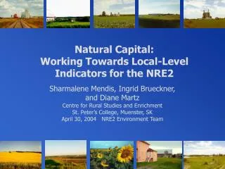 Natural Capital: Working Towards Local-Level Indicators for the NRE2