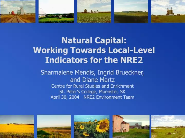 natural capital working towards local level indicators for the nre2