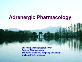 Adrenergic Pharmacology
