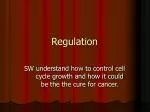 Regulation - slide 1