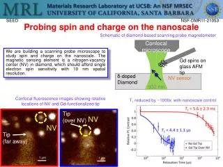 Probing spin and charge on the nanoscale