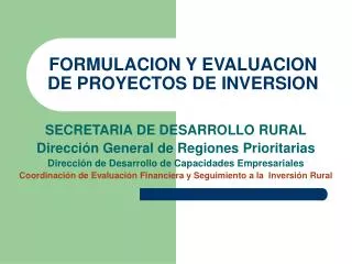 formulacion y evaluacion de proyectos de inversion
