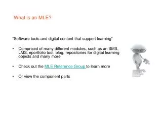 What is an MLE?