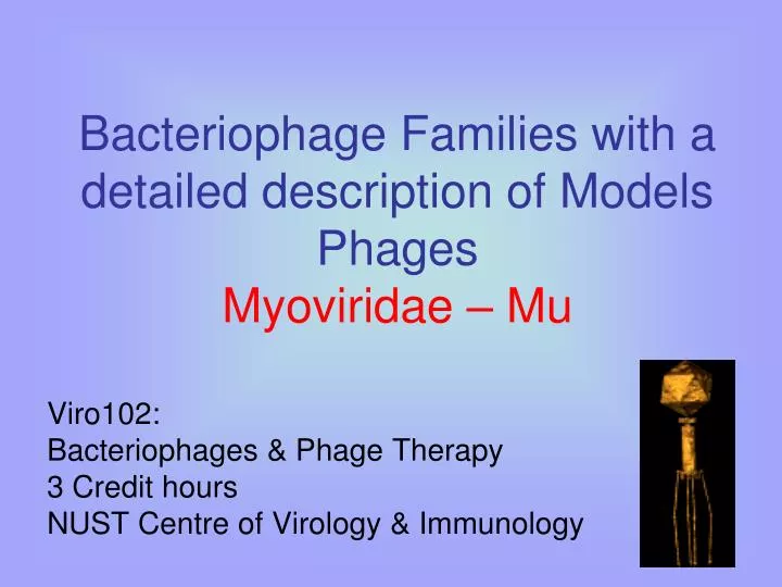 bacteriophage families with a detailed description of models phages myoviridae mu