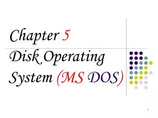 Chapter 5 Disk Operating System ( MS DOS )