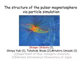 The structure of the pulsar magnetosphere via particle simulation