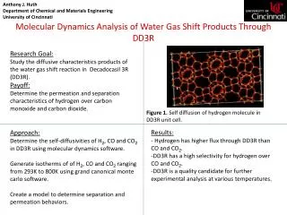 Molecular Dynamics Analysis of Water Gas Shift Products Through DD3R