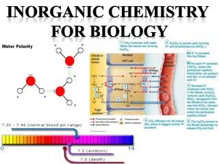Inorganic Chemistry For Biology