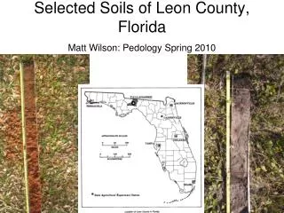 Selected Soils of Leon County, Florida Matt Wilson: Pedology Spring 2010