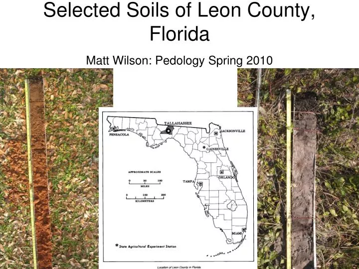selected soils of leon county florida matt wilson pedology spring 2010