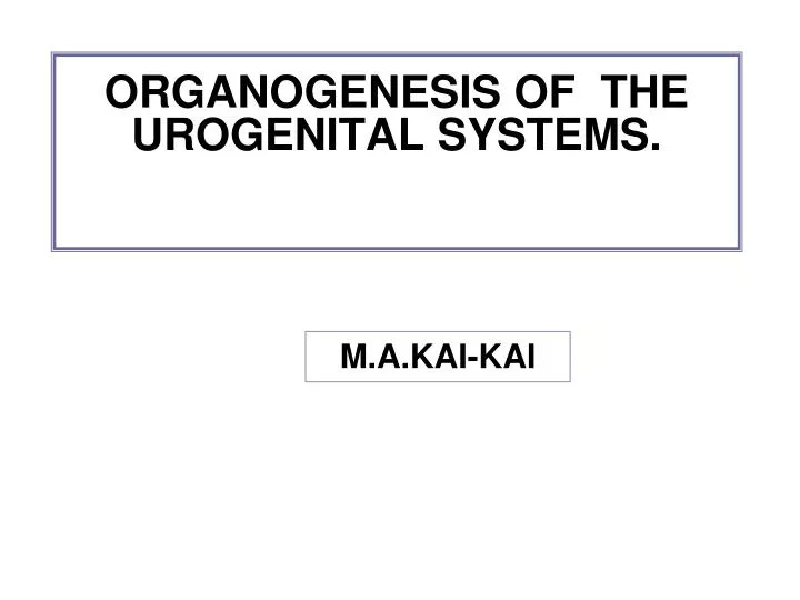 organogenesis of the urogenital systems