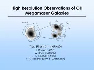 High Resolution Observations of OH Megamaser Galaxies