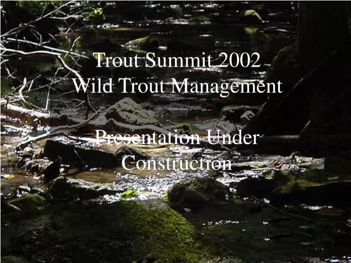 trout summit 2002 wild trout management presentation under construction